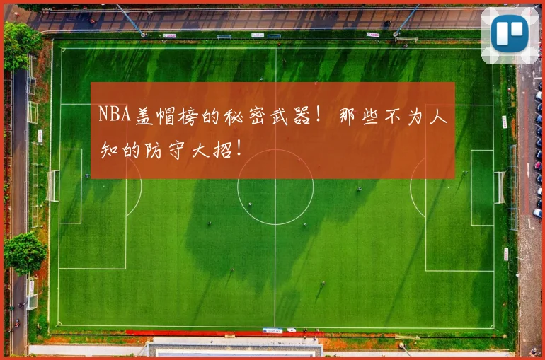 NBA盖帽榜的秘密武器！那些不为人知的防守大招！